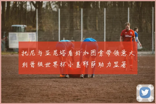 托尼与亚昆塔看好加图索带领意大利晋级世界杯小基耶萨助力显著
