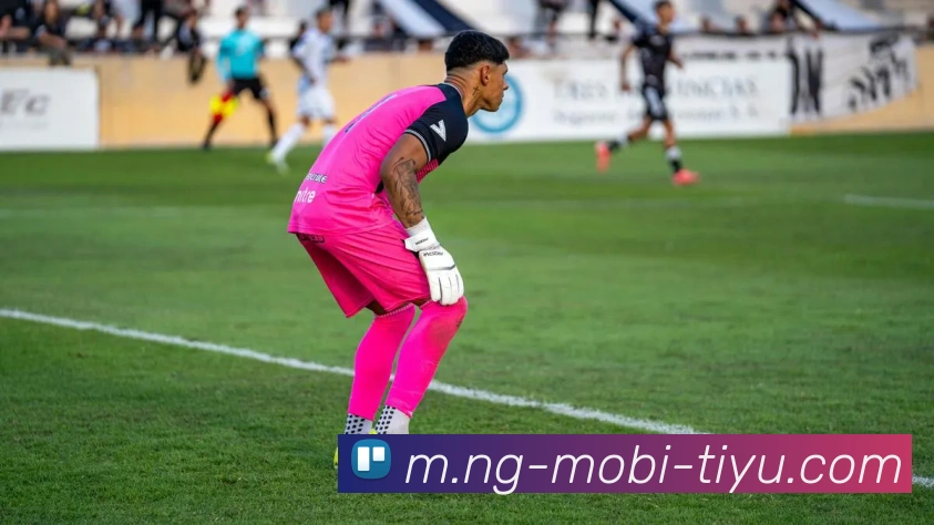 南宫体育平台生态图