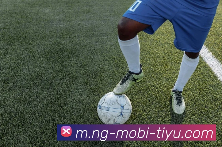 南宫体育APP 封面图